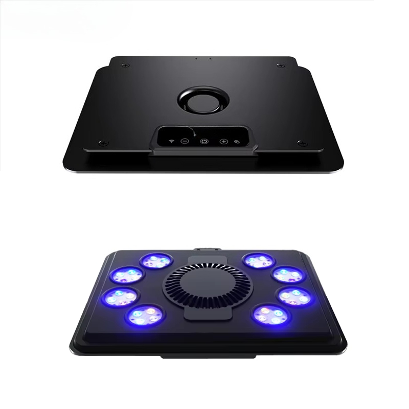 2025 hot sale MJ-L260/L290 Blu - Aquarium Blue Marine Reef recension och pris