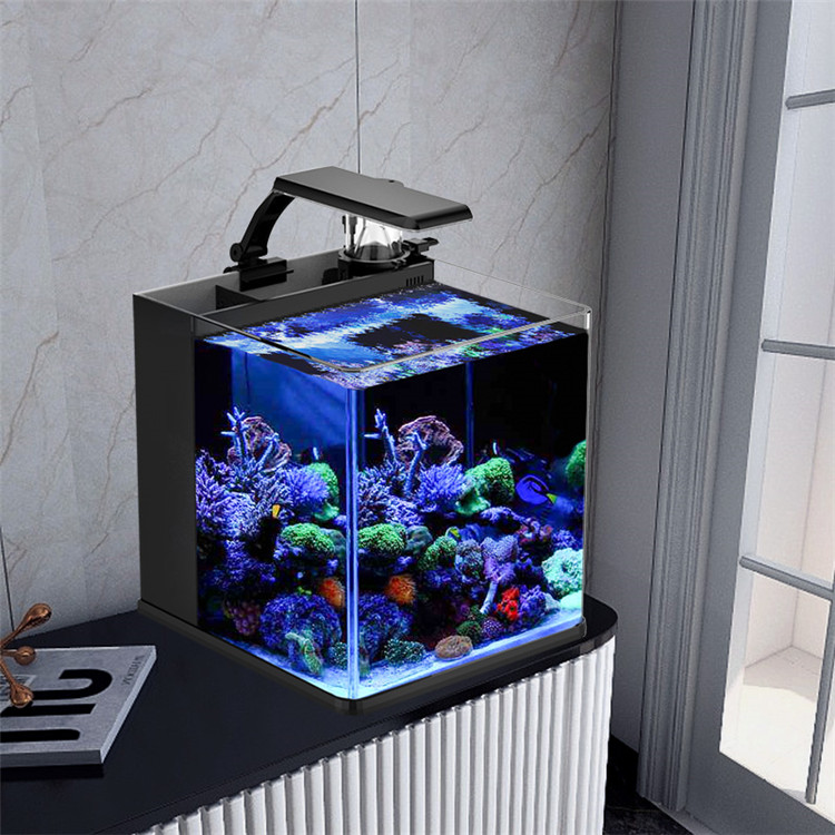 skynuo Ultra Clear Glass Mini  - Marine Aquarium In Clearwater recension och pris