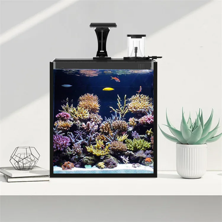 Latest Model Clear Glass Mini  - Marine Aquarium In Clearwater recension och pris
