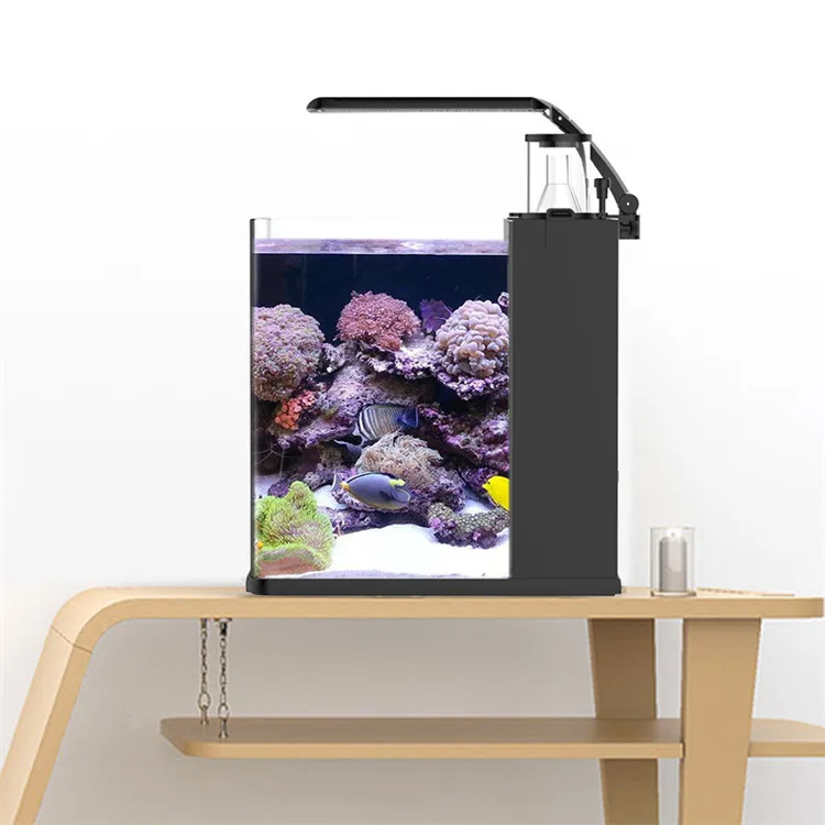 Latest Model Clear Glass Mini  - Marine Aquarium In Clearwater recension och pris