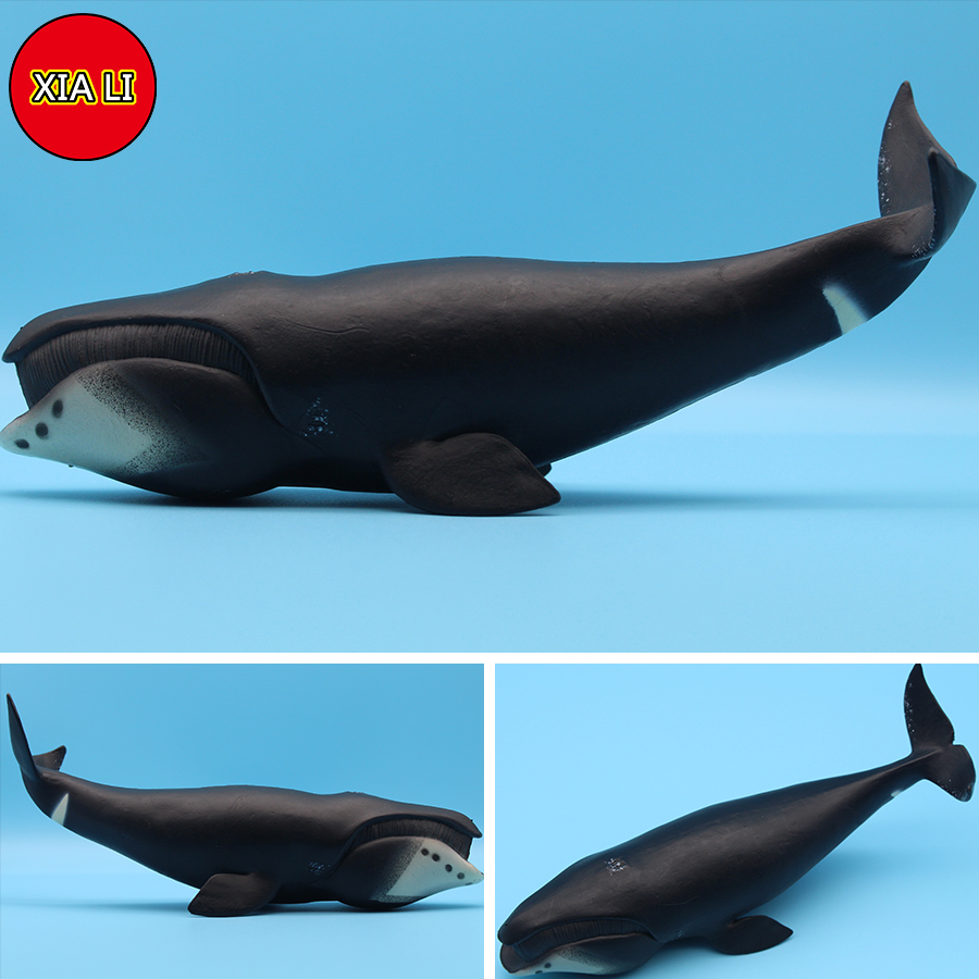 Ocean Sea Life Simulation Kill - Aquarium Marine Blue recension och pris