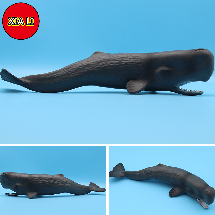 Ocean Sea Life Simulation Kill - Aquarium Marine Blue recension och pris