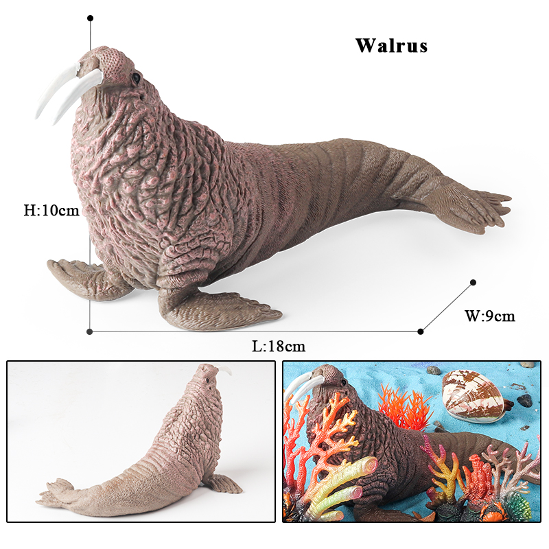 Oenux New Sea Life Seal Sea Li - Aquarium Marine Blue recension och pris