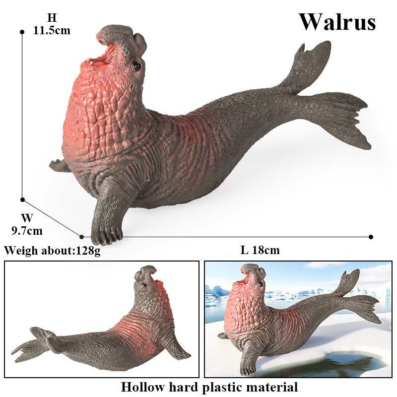 Oenux New Sea Life Seal Sea Li - Aquarium Marine Blue recension och pris