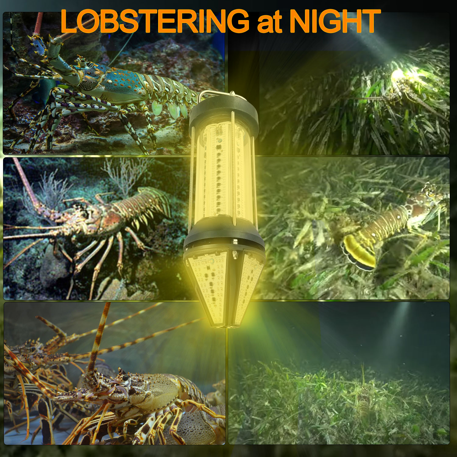 Green Blue White Yellow Outdoo - Aquarium Marine Blue recension och pris