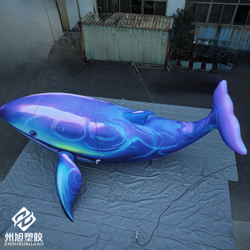 Inflatable blue whale, used as - Aquarium Marine Blue recension och pris