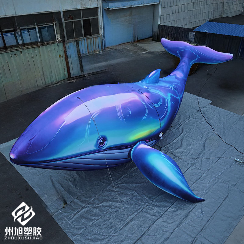 Inflatable blue whale, used as - Aquarium Marine Blue recension och pris