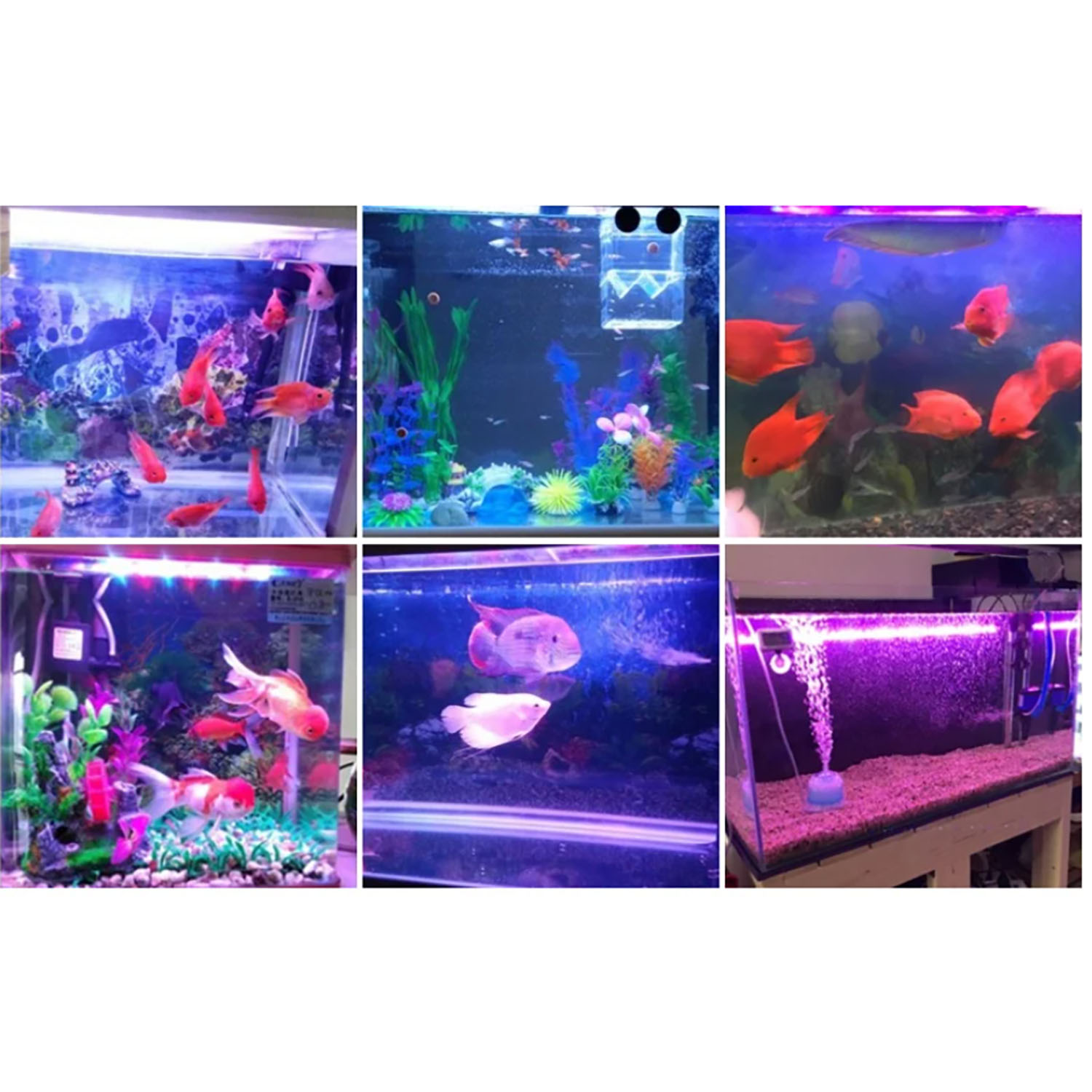 50W 60W 70W 100W RGB 26-28V Hi - Aquarium Marine Blue recension och pris
